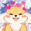 kagome9886
