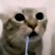drooling cat avatar