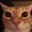 Dangerous Species Steam avatar