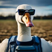 Goose - steam id 76561199439070592