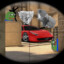 FerrariPeek