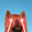 Laxst