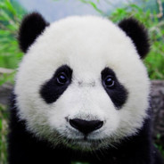 胖子你不要转过头啊