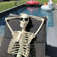 郁金香不如哥阴金香