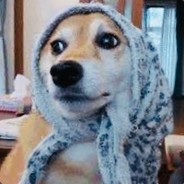 神头鬼脸王二狗