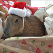 해킹하지 마라 시발련