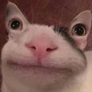 CelsiuZ avatar