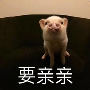 胡小毛的救赎
