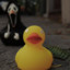 Do333eR The Evil Duck