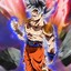 Goku M.U.I