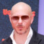 Pitbull (Mr WorldWide)