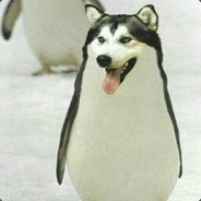 达芬鱼（萌新）