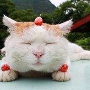 她说晚安了玛卡巴卡