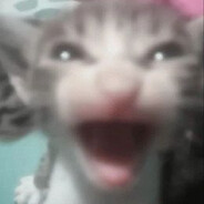 Julia Bismillah avatar