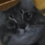 zezo's avatar