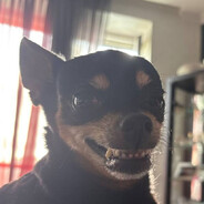 coster_popasiskejopa