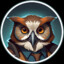Niteowl