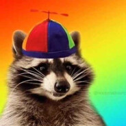Raccoon1