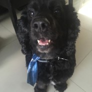 Enoc's Avatar