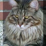 ڲ๐Đ|M@!ŋc͡๏̯͡๏ŋ76