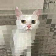 Levlynx