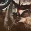 Meth Racoon