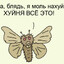 Гусеница
