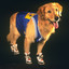 Air Bud with Wheels
