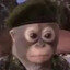 Wight