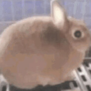 Bunni