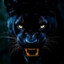 fnfpuma
