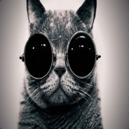 nri - steam id 76561197960478025