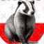 kurwa skunks