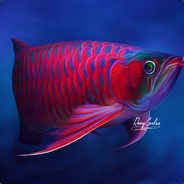 AROWANA