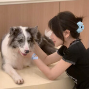 宇影摇怡沐晚星