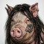Avatar of Metalhead Pig