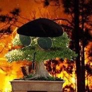 Steam avatar for Flammable Bonsai