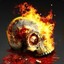 FiRe SKuLl