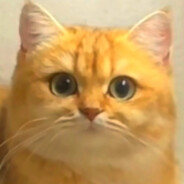 老师好我叫刘同学