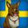 Swedish Corgi's avatar