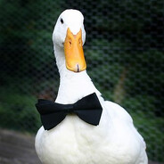 Macneciio6745's Avatar