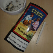 Javaanse Jongen's Avatar
