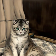 派派的牌牌排[PAIPAI]