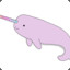 I&#039;m a Narwhal.