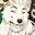 SoftWereWussy