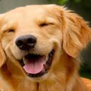 FOLLOW @kyron.bs (ig)