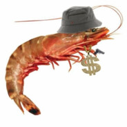 LIlshrimpX Steam avatar