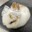 this rabbit is a bulldozer avatar