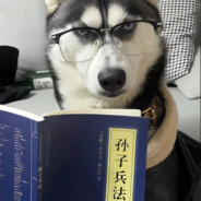 外籍与狗不得打cs