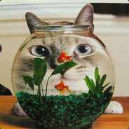 小霸王其乐无穷